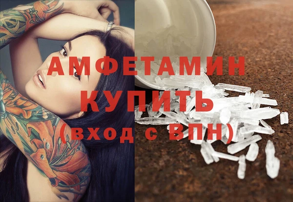 трава Аркадак