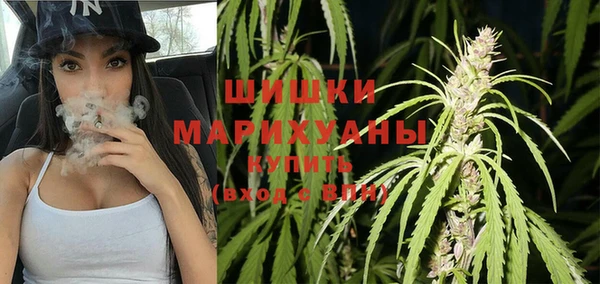 трава Аркадак