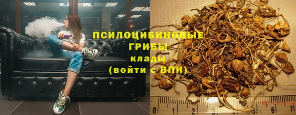 трава Аркадак