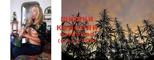 трава Аркадак