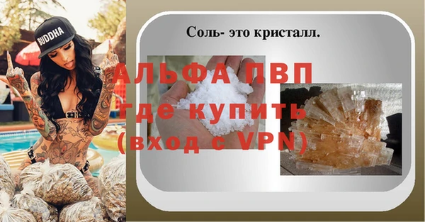 трава Аркадак