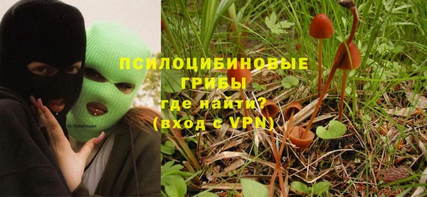 трава Аркадак